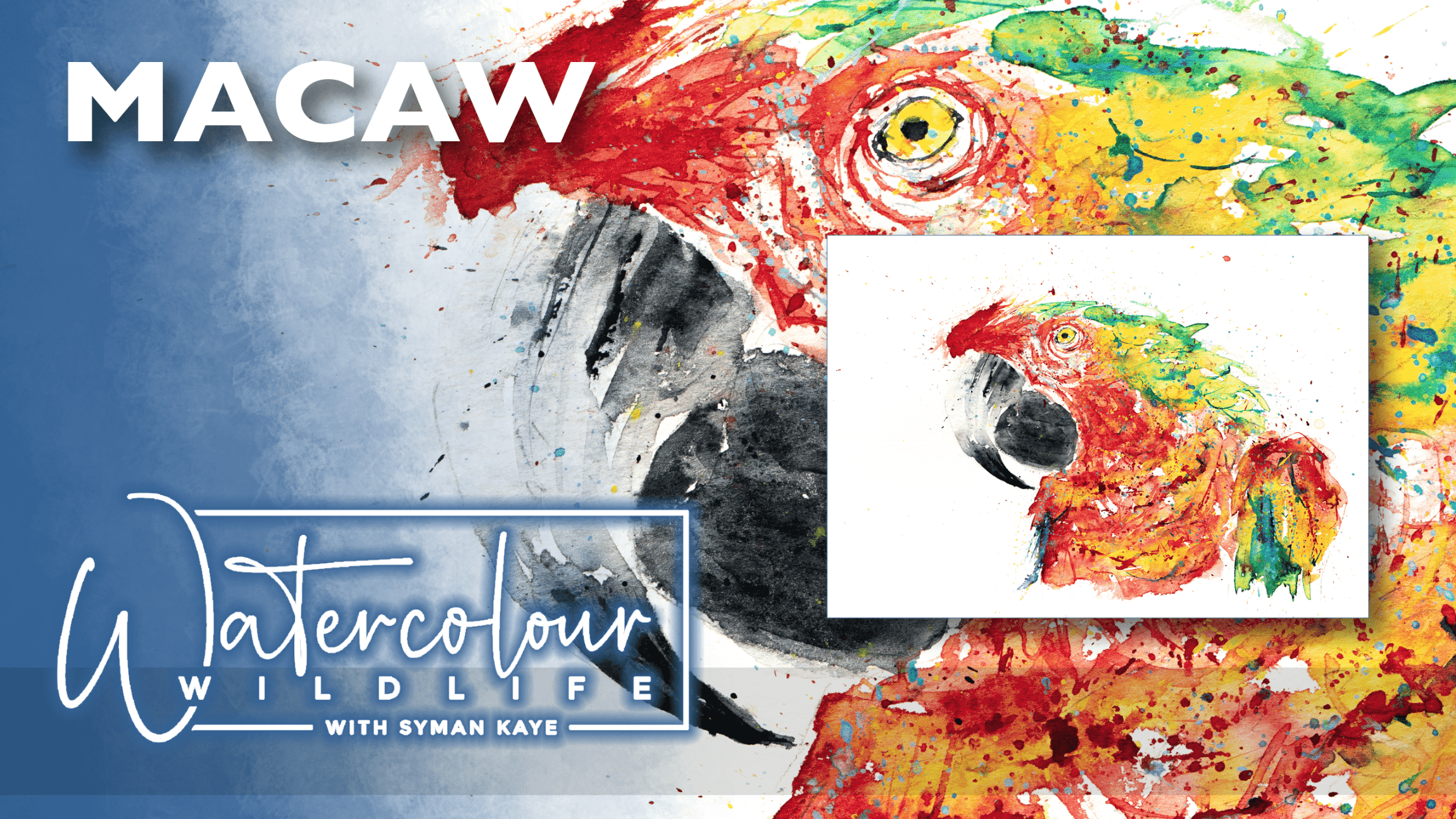 Macaw watercolour painting tutorial