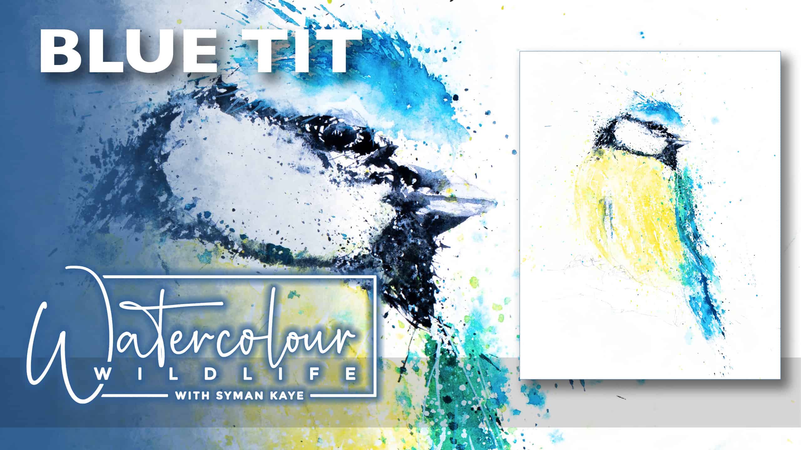 Blue Tit watercolour painting tutorial