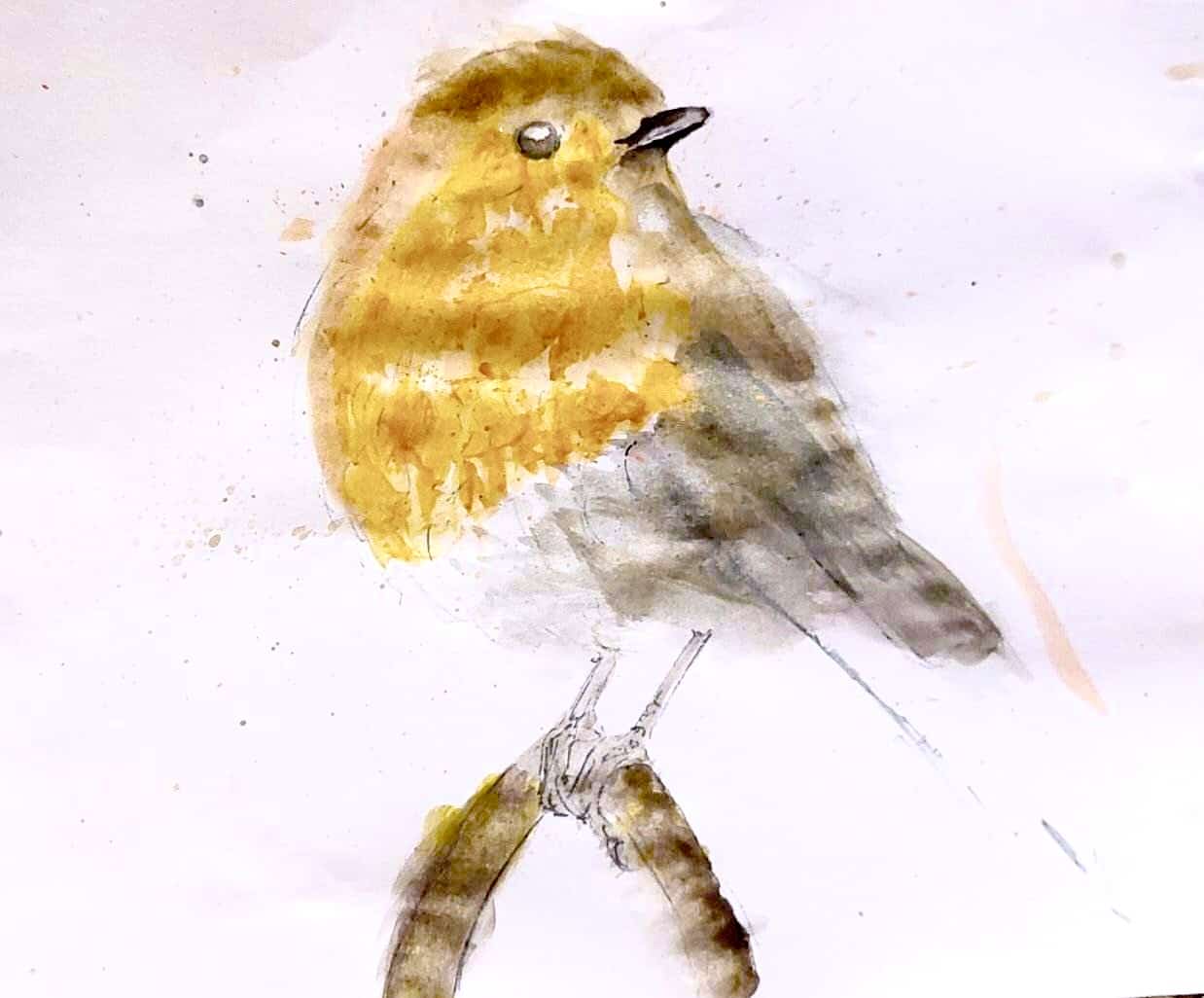 Robin