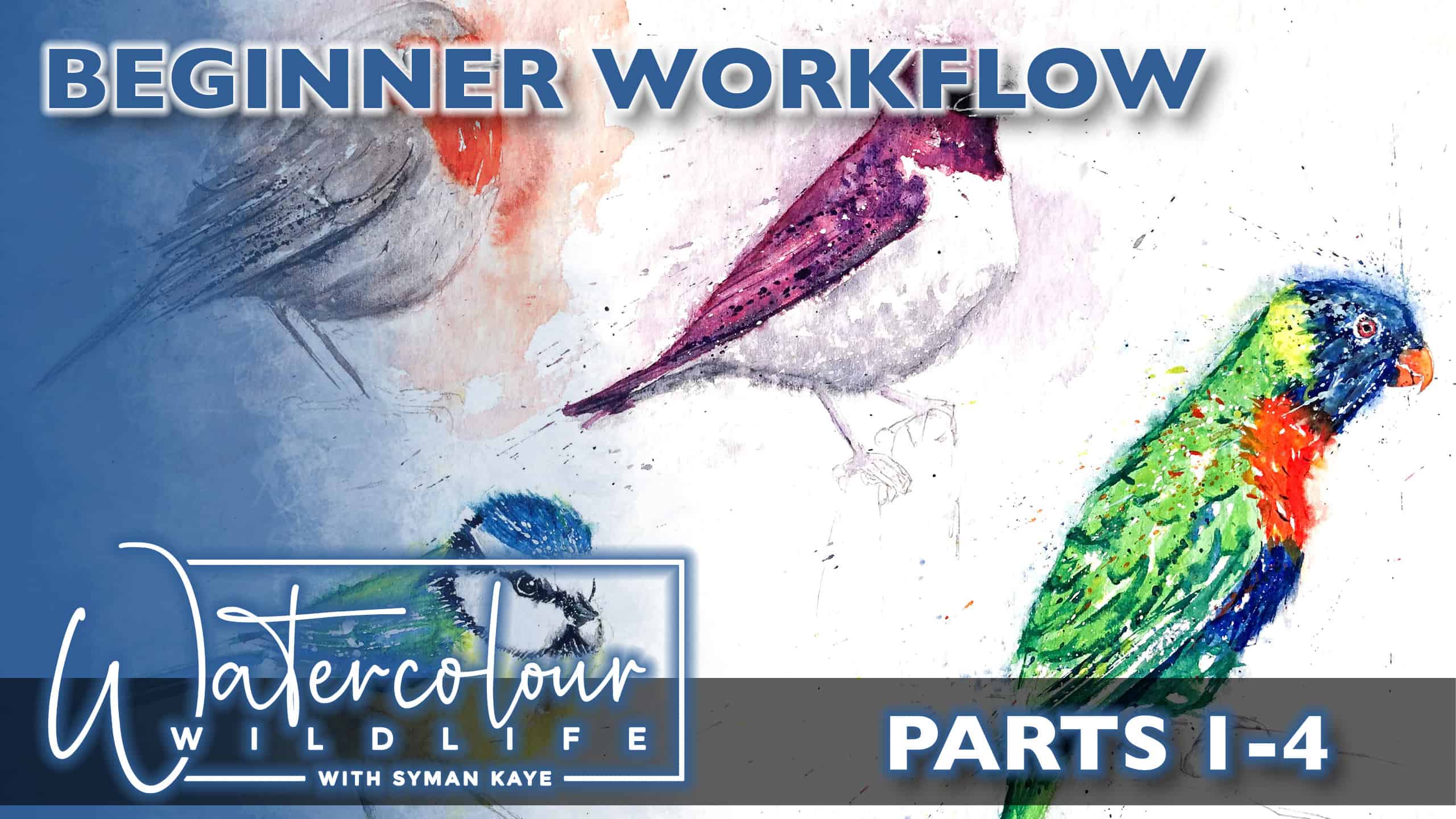 Beginner-workflow