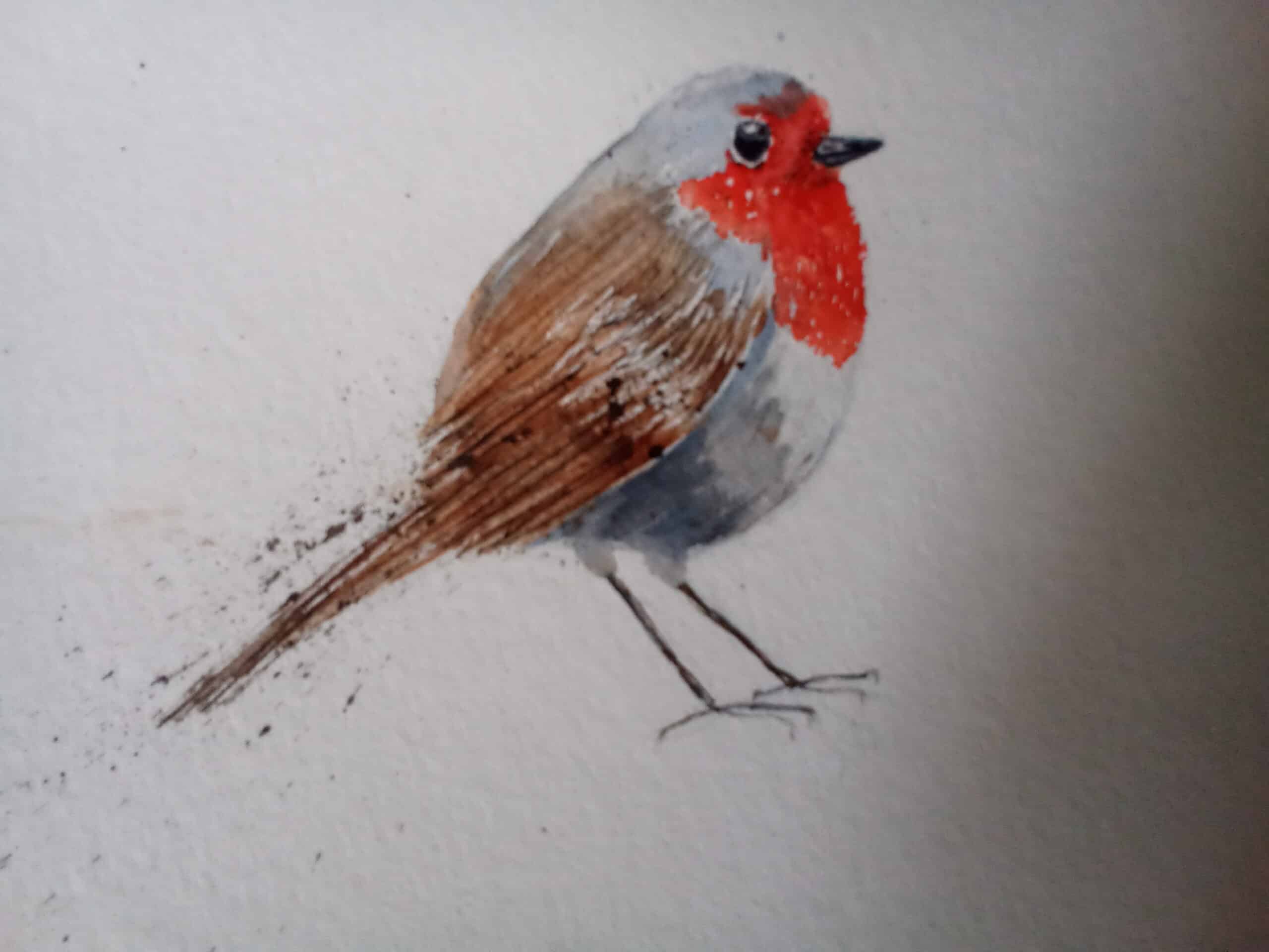 Robin